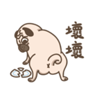 TK the pug（個別スタンプ：14）