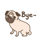 TK the pug（個別スタンプ：16）