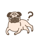 TK the pug（個別スタンプ：20）