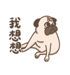 TK the pug（個別スタンプ：24）