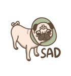TK the pug（個別スタンプ：31）