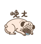TK the pug（個別スタンプ：33）