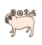 TK the pug（個別スタンプ：36）