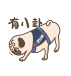 TK the pug（個別スタンプ：39）