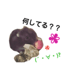 My Family ＆ FRIENDS（個別スタンプ：10）
