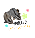 My Family ＆ FRIENDS（個別スタンプ：13）
