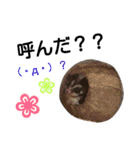 My Family ＆ FRIENDS（個別スタンプ：16）