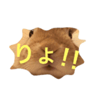 キナコ 1（個別スタンプ：3）