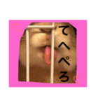 キナコ 1（個別スタンプ：5）