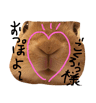 キナコ 1（個別スタンプ：14）