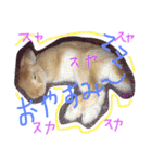 キナコ 1（個別スタンプ：15）