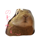 キナコ 1（個別スタンプ：27）