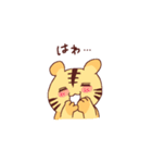 とらのこスタンプ（個別スタンプ：10）