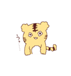 とらのこスタンプ（個別スタンプ：25）