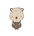 Little Lovely Bear（個別スタンプ：1）