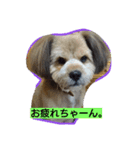 marom（個別スタンプ：1）