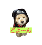 marom（個別スタンプ：2）