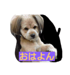 marom（個別スタンプ：8）