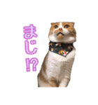 がじおもすたんぷ〜part2〜（個別スタンプ：4）