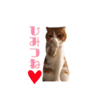 がじおもすたんぷ〜part2〜（個別スタンプ：9）