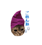 がじおもすたんぷ〜part2〜（個別スタンプ：15）