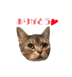 がじおもすたんぷ〜part2〜（個別スタンプ：18）