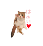 がじおもすたんぷ〜part2〜（個別スタンプ：23）