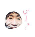 身内ネタ2スタンプ（個別スタンプ：1）