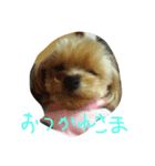 ぷぅたん（個別スタンプ：7）