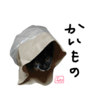 にゃんもかにゃん（個別スタンプ：7）
