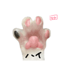 にゃんもかにゃん（個別スタンプ：8）