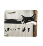 にゃんもかにゃん（個別スタンプ：18）
