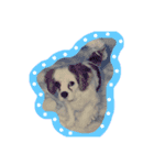 Mydog Rio（個別スタンプ：6）