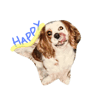 Mydog Rio（個別スタンプ：11）