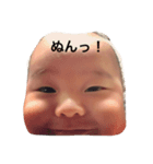 ちゃびーなちっぴー（個別スタンプ：1）