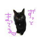 E-kichi（個別スタンプ：1）