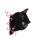 E-kichi（個別スタンプ：2）