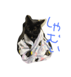 E-kichi（個別スタンプ：3）