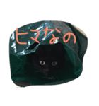 E-kichi（個別スタンプ：4）