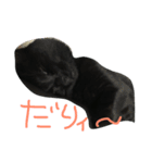 E-kichi（個別スタンプ：8）