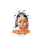 taichan_1（個別スタンプ：16）