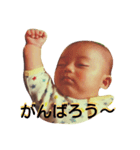 航大と雑種犬あめりと仲間たち（個別スタンプ：2）