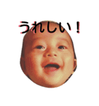 航大と雑種犬あめりと仲間たち（個別スタンプ：7）
