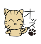 cat good fortune（個別スタンプ：33）