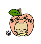 cat good fortune（個別スタンプ：36）