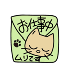 cat good fortune（個別スタンプ：37）