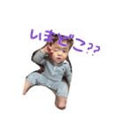 taichan2（個別スタンプ：1）