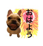 happy life HANA4（個別スタンプ：11）