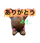 happy life HANA4（個別スタンプ：12）