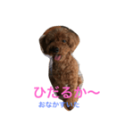 ANchiyan kurumedialect（個別スタンプ：1）